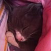 luxiitaa14