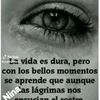 dereck8635