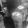 amilcarbravo483