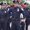 Cops & Network