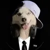 anhnhan.tepdog