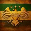 ahmad.alhoumii511