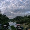 hendra_q4