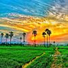 megla.akash1627