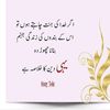 .shakir8682