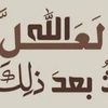 user541066209706
