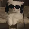mre_23qq