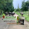 baansuansilp_159168