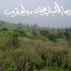 user88007878800362