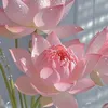 bao.quy39
