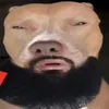 ._.auxebit
