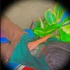 zaireal26