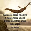 user17713002290586