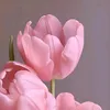 kimnguu934