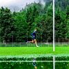shamil_2022_