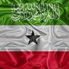hadraawi58