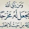 user7985228368079