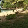 bongkulit