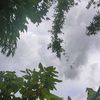 pone_359