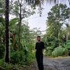 pingwin962