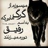 user1522203911343