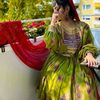 scarlet_rose35