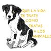 japalexjose.perez
