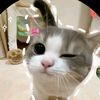kim.mariya____.v