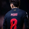 fedricovalverde27