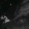 isaul.lezcano