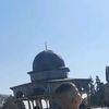 mahmoudazemabumad