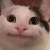 okokik020