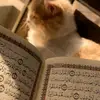 izaaa_7784