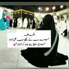 user7066113861335