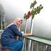 binti.soleha2