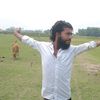 .habib866