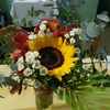 daicy.marcano5