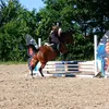 _nieki_2
