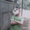 zizan