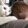 nickmgiljum