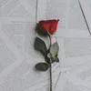 hs__ab1