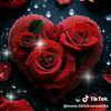 yazberdi.gutlyyew5