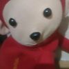 monyet.kkl1