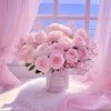 belmiloudabir4