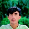 gulbosherani302