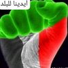 user3381650554066