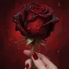rosa06255
