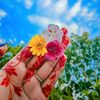 flower20756