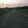 koshka_0013