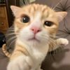 el_kim77